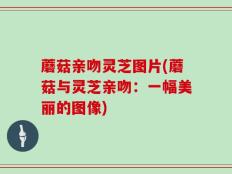 蘑菇亲吻灵芝图片(蘑菇与灵芝亲吻：一幅美丽的图像)