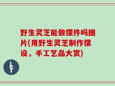野生灵芝能做摆件吗图片(用野生灵芝制作摆设，手工艺品大赏)