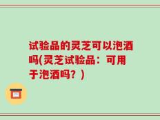 试验品的灵芝可以泡酒吗(灵芝试验品：可用于泡酒吗？)
