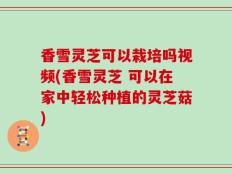 香雪灵芝可以栽培吗视频(香雪灵芝 可以在家中轻松种植的灵芝菇)