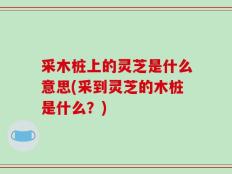 采木桩上的灵芝是什么意思(采到灵芝的木桩是什么？)