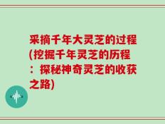 采摘千年大灵芝的过程(挖掘千年灵芝的历程：探秘神奇灵芝的收获之路)