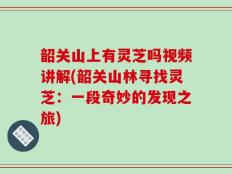 韶关山上有灵芝吗视频讲解(韶关山林寻找灵芝：一段奇妙的发现之旅)