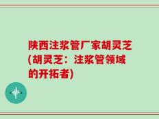 陕西注浆管厂家胡灵芝(胡灵芝：注浆管领域的开拓者)