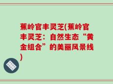 蕉岭官丰灵芝(蕉岭官丰灵芝：自然生态“黄金组合”的美丽风景线)
