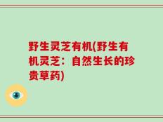 野生灵芝有机(野生有机灵芝：自然生长的珍贵草药)