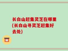 长白山赶集灵芝在哪里(长白山寻灵芝赶集好去处)