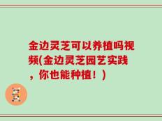 金边灵芝可以养植吗视频(金边灵芝园艺实践，你也能种植！)