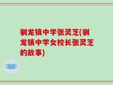 驯龙镇中学张灵芝(驯龙镇中学女校长张灵芝的故事)