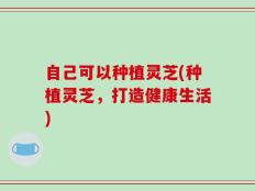 自己可以种植灵芝(种植灵芝，打造健康生活)