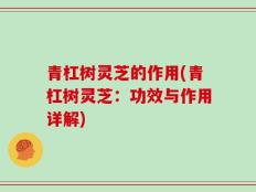 青杠树灵芝的作用(青杠树灵芝：功效与作用详解)