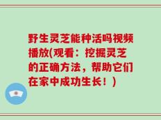 野生灵芝能种活吗视频播放(观看：挖掘灵芝的正确方法，帮助它们在家中成功生长！)