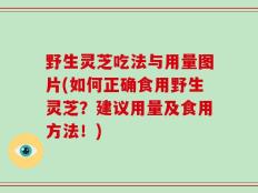 野生灵芝吃法与用量图片(如何正确食用野生灵芝？建议用量及食用方法！)