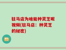 驻马店为啥能种灵芝呢视频(驻马店：种灵芝的秘密)