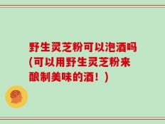 野生灵芝粉可以泡酒吗(可以用野生灵芝粉来酿制美味的酒！)