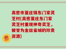 高密市夏庄镇东门家灵芝村(高密夏庄东门家灵芝村重现神奇灵芝，被誉为金丝雀城的珍贵资源)