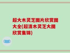 超大木灵芝图片欣赏图大全(超清木灵芝大图欣赏集锦)