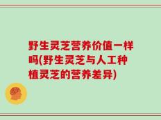 野生灵芝营养价值一样吗(野生灵芝与人工种植灵芝的营养差异)