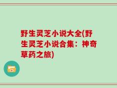 野生灵芝小说大全(野生灵芝小说合集：神奇草药之旅)