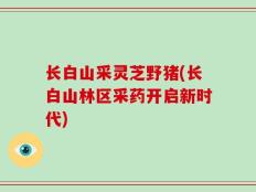 长白山采灵芝野猪(长白山林区采药开启新时代)