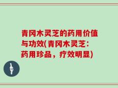 青冈木灵芝的药用价值与功效(青冈木灵芝：药用珍品，疗效明显)
