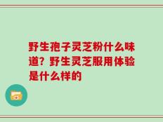 野生孢子灵芝粉什么味道？野生灵芝服用体验是什么样的