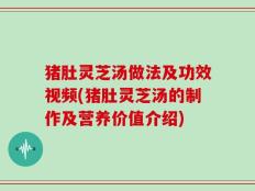 猪肚灵芝汤做法及功效视频(猪肚灵芝汤的制作及营养价值介绍)