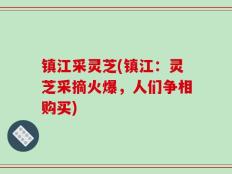 镇江采灵芝(镇江：灵芝采摘火爆，人们争相购买)