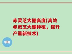 赤灵芝大棚高度(高效赤灵芝大棚种植，提升产量新技术)