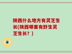 陕西什么地方有灵芝生长(陕西哪里有野生灵芝生长？)