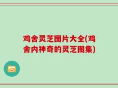 鸡舍灵芝图片大全(鸡舍内神奇的灵芝图集)