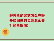 野外捡的灵芝怎么养野外捡回来的灵芝怎么养？简单指南)