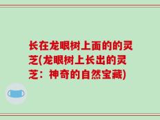 长在龙眼树上面的的灵芝(龙眼树上长出的灵芝：神奇的自然宝藏)