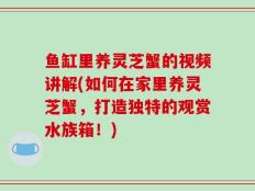 鱼缸里养灵芝蟹的视频讲解(如何在家里养灵芝蟹，打造独特的观赏水族箱！)