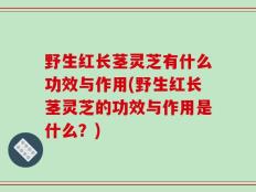 野生红长茎灵芝有什么功效与作用(野生红长茎灵芝的功效与作用是什么？)