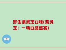 野生紫灵芝口味(紫灵芝：一场口感盛宴)