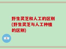 野生灵芝和人工的区别(野生灵芝与人工种植的区别)