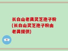 长白山老龚灵芝孢子粉(长白山灵芝孢子粉由老龚提供)