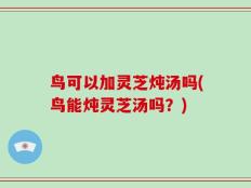 鸟可以加灵芝炖汤吗(鸟能炖灵芝汤吗？)