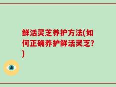 鲜活灵芝养护方法(如何正确养护鲜活灵芝？)