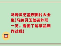 马蹄灵芝盖碗图片大全集(马蹄灵芝盖碗外形一览，看图了解菜品制作过程)