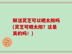 鲜活灵芝可以晒太阳吗(灵芝可晒太阳？这是真的吗！)