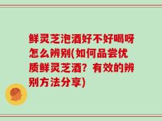 鲜灵芝泡酒好不好喝呀怎么辨别(如何品尝优质鲜灵芝酒？有效的辨别方法分享)