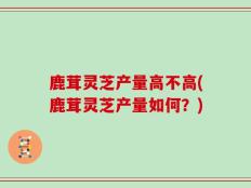 鹿茸灵芝产量高不高(鹿茸灵芝产量如何？)
