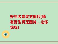 野生名贵灵芝图片(稀有野生灵芝图片，让你惊叹)
