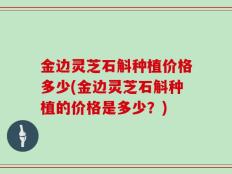 金边灵芝石斛种植价格多少(金边灵芝石斛种植的价格是多少？)