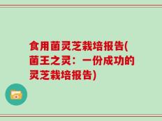 食用菌灵芝栽培报告(菌王之灵：一份成功的灵芝栽培报告)