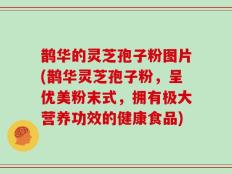 鹊华的灵芝孢子粉图片(鹊华灵芝孢子粉，呈优美粉末式，拥有极大营养功效的健康食品)