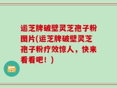 运芝牌破壁灵芝孢子粉图片(运芝牌破壁灵芝孢子粉疗效惊人，快来看看吧！)