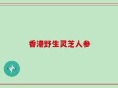 香港野生灵芝人参